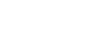 dsi logo 300